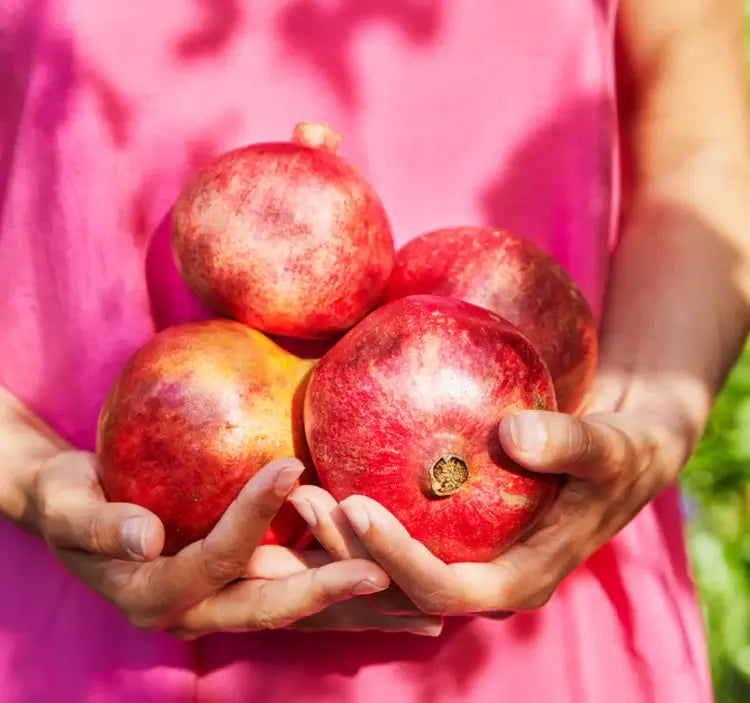 DELICIOUSLY STANDARDPOMEGRANATE JUICE background